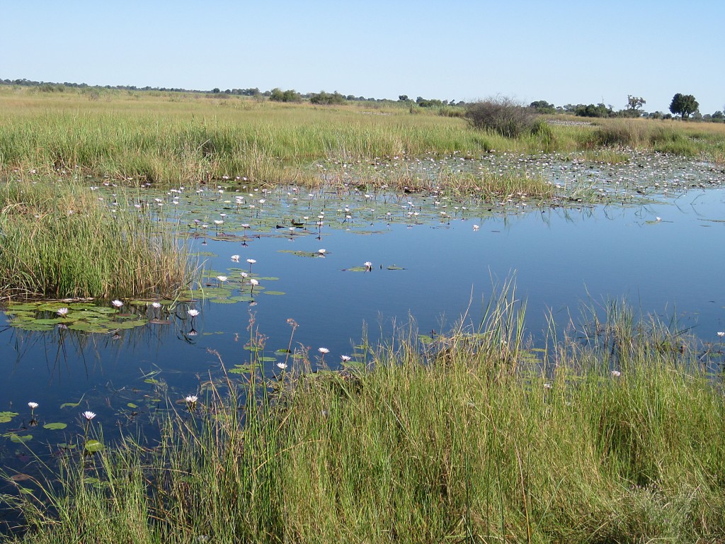 Destination Known: Caprivi Strip, Namibia - Flight965